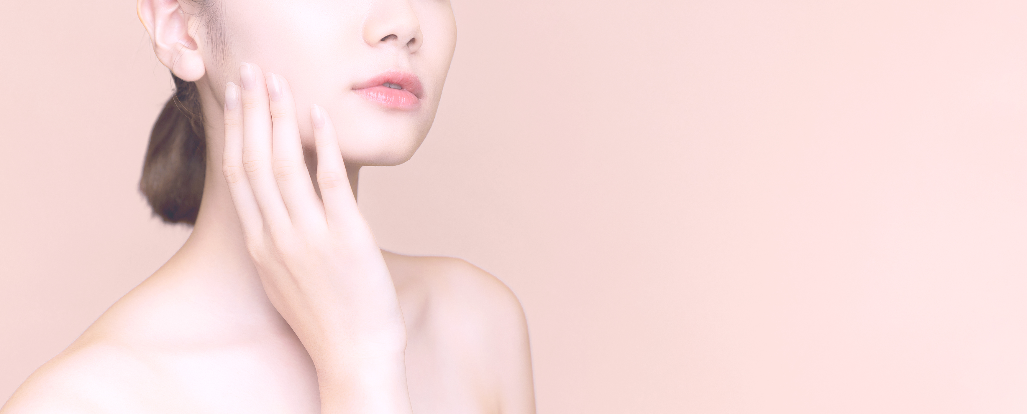 プラセンタイメージ画像